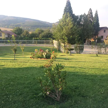 Paradise Zhilentsi